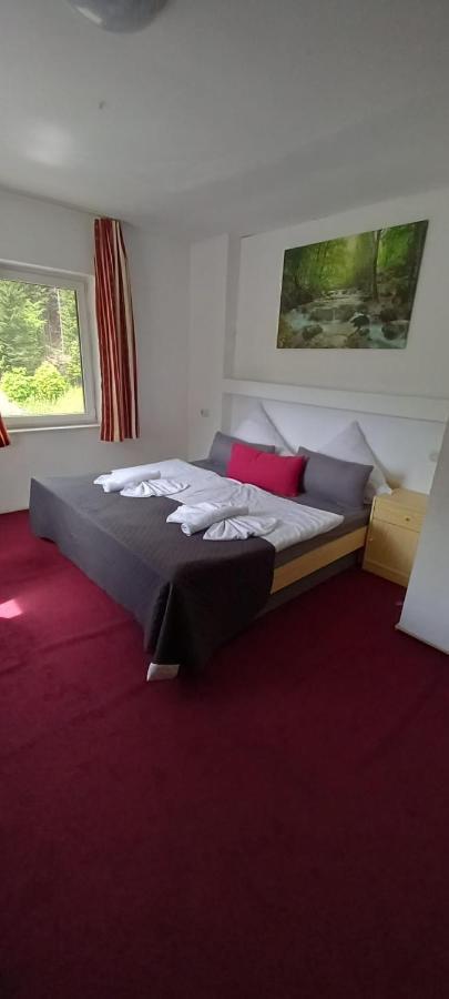 Waldpension Pfeiferhaus Warmensteinach Extérieur photo