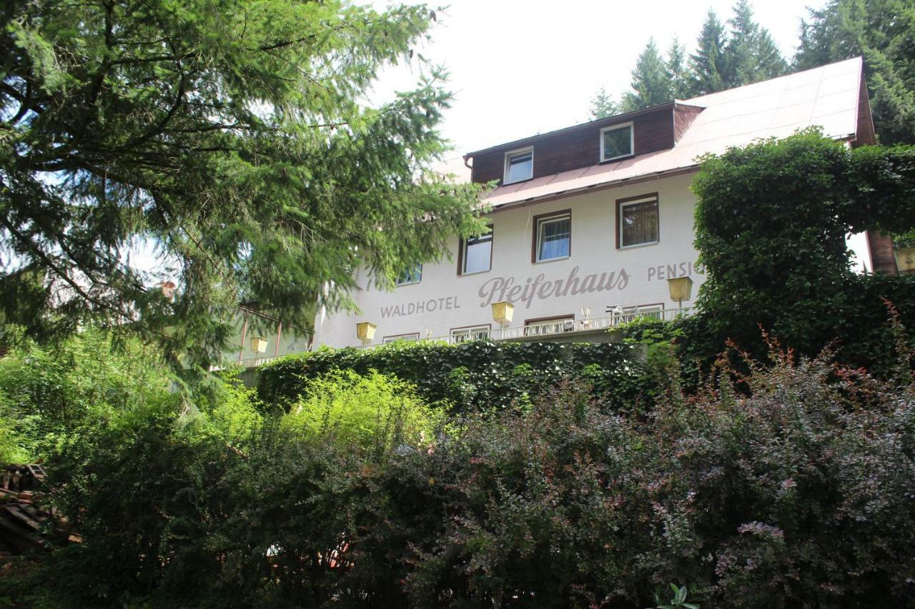 Waldpension Pfeiferhaus Warmensteinach Extérieur photo